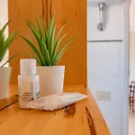 Sal- Penthouse With Terrace A Stone's Throw From Piazza Signoria דירה *